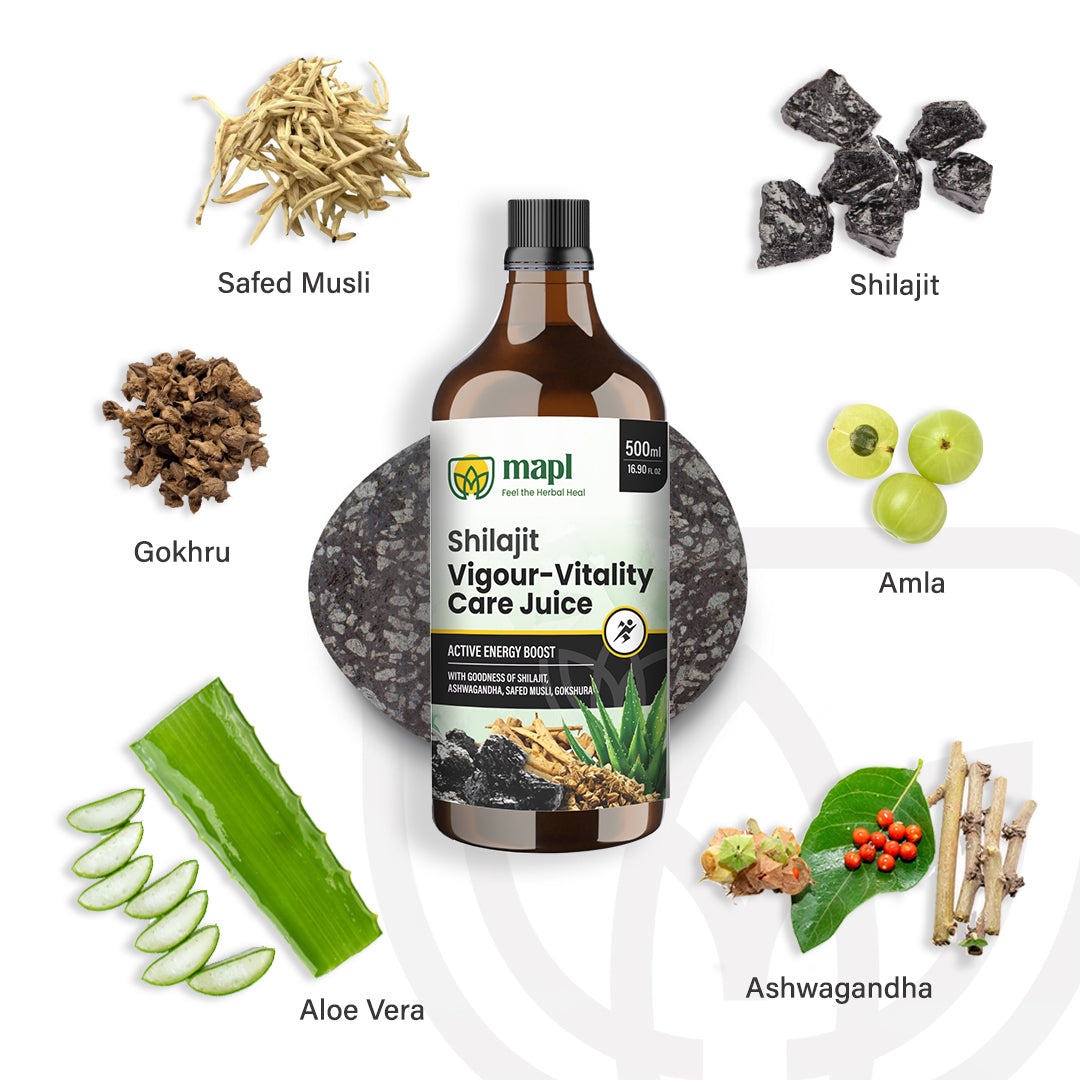 Shilajit Juice