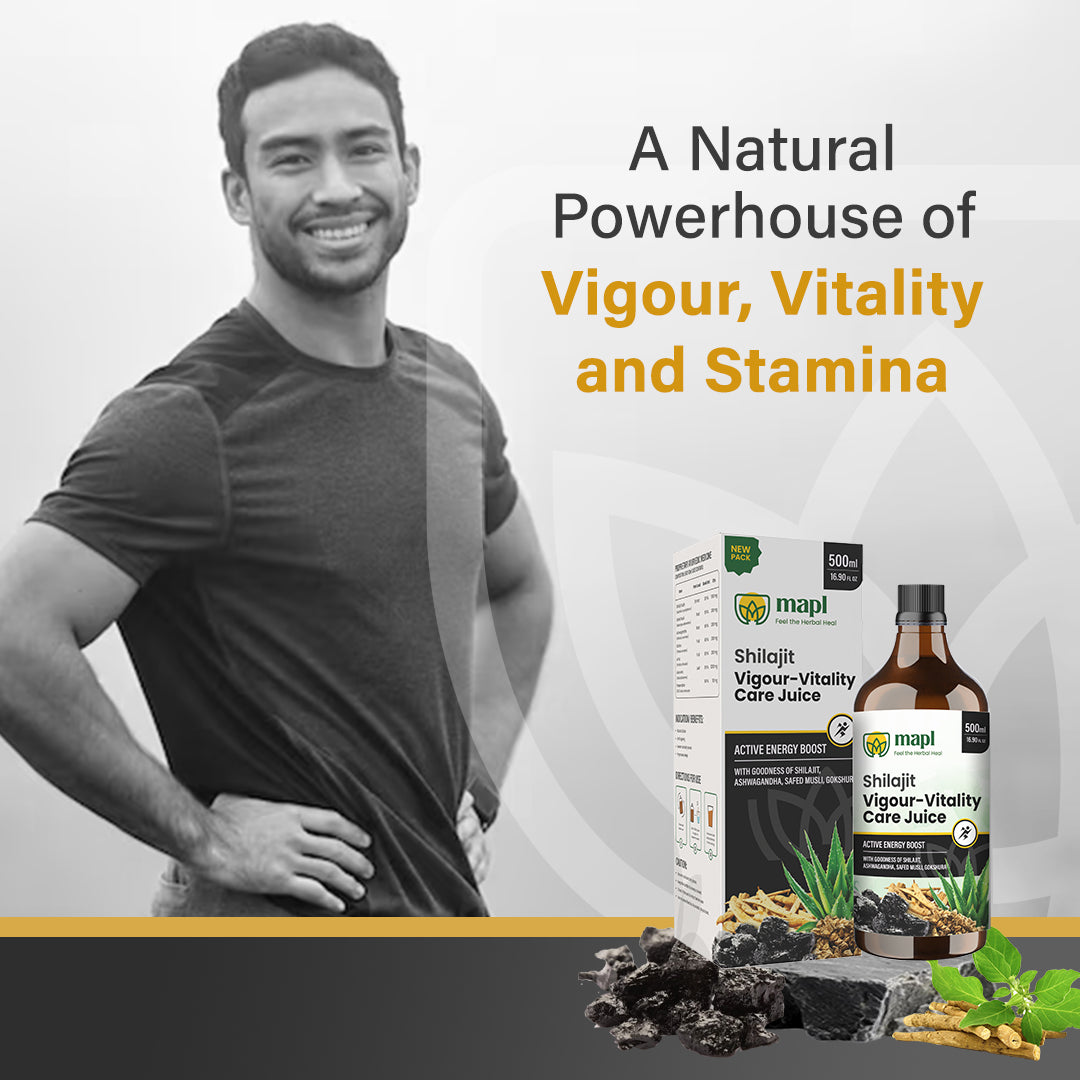 Shilajit Juice