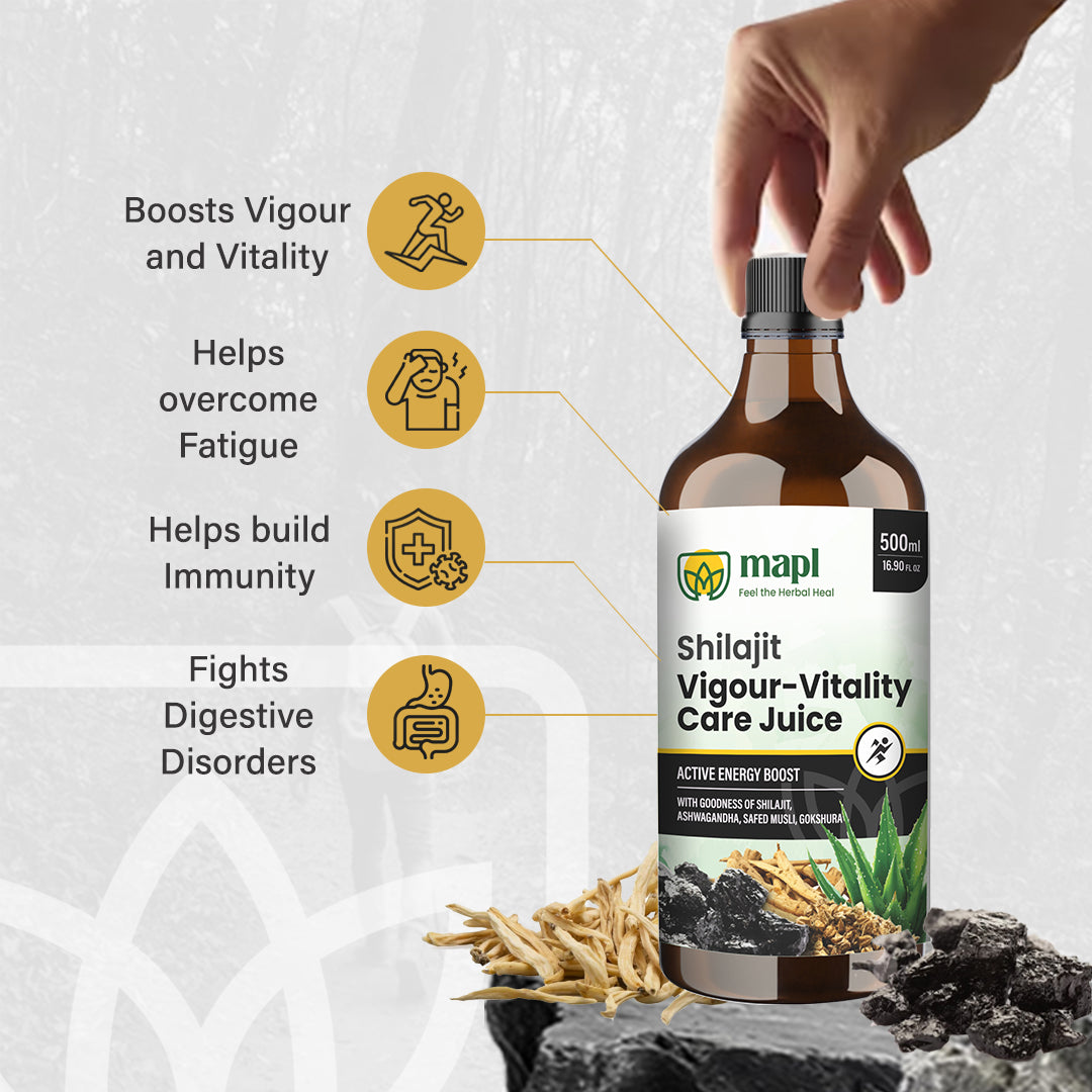 Shilajit Juice