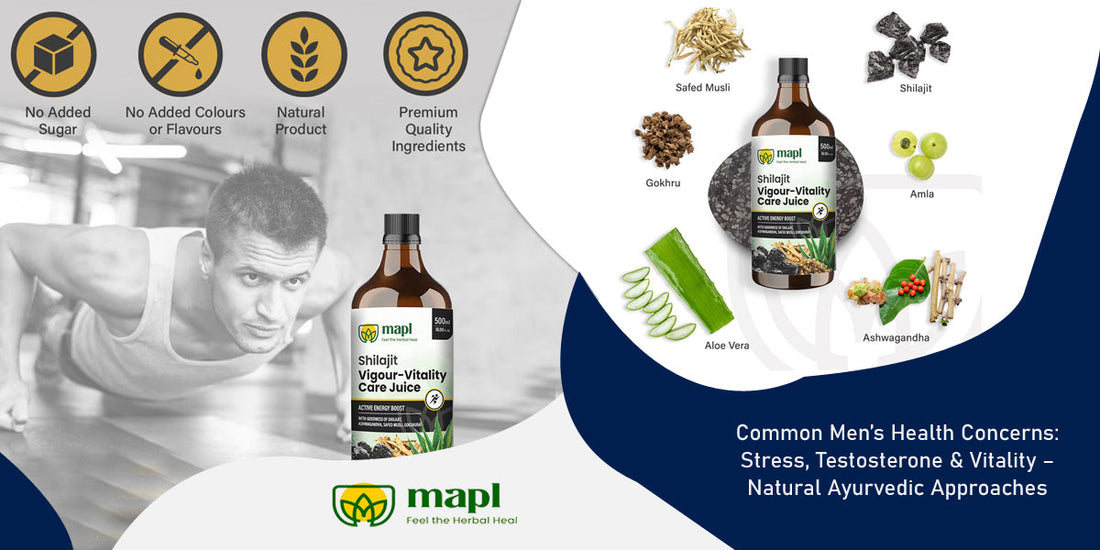 Common Men’s Health Concerns: Stress, Testosterone & Vitality – Natural Ayurvedic Approaches