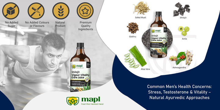 Common Men’s Health Concerns: Stress, Testosterone & Vitality – Natural Ayurvedic Approaches