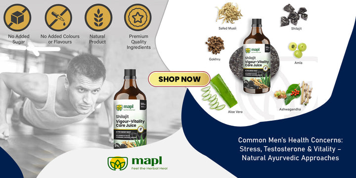 Common Men’s Health Concerns: Stress, Testosterone & Vitality