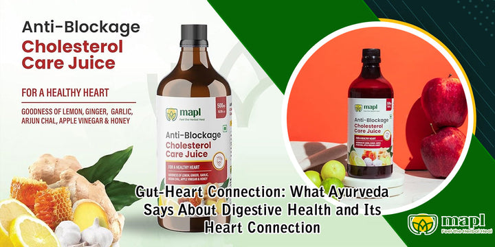 Gut-Heart Connection: What Ayurveda Says About Digestive Health and Its Heart Connection