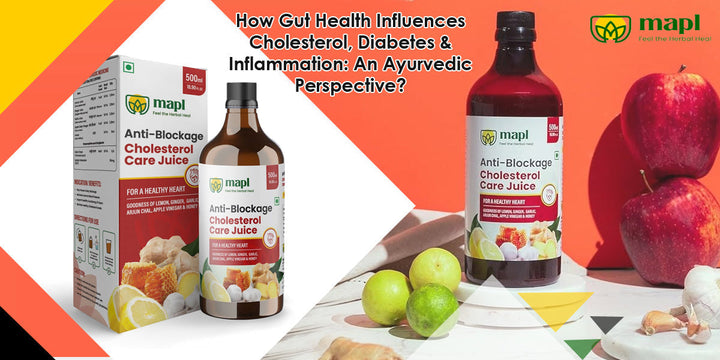 How Gut Health Influences Cholesterol, Diabetes &amp; Inflammation: An Ayurvedic Perspective?