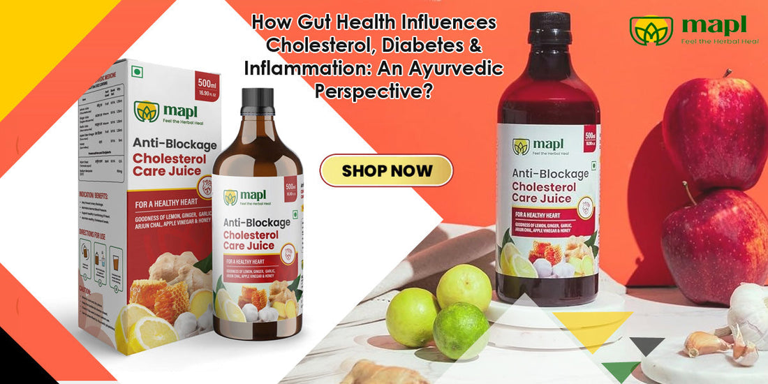 How Gut Health Influences Cholesterol, Diabetes & Inflammation: An Ayurvedic Perspective?