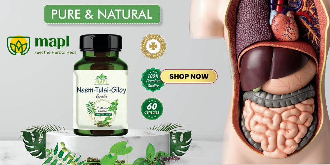 Importance of a healthy digestive system