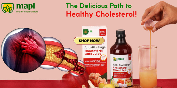 Natural Ingredients for Lowering Cholesterol Levels