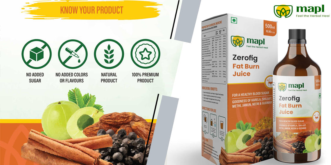 Understanding Fatty Liver: Lifestyle, Diet & Natural Support for Reversal