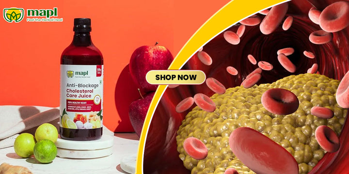 Understanding Triglyceride and LDL