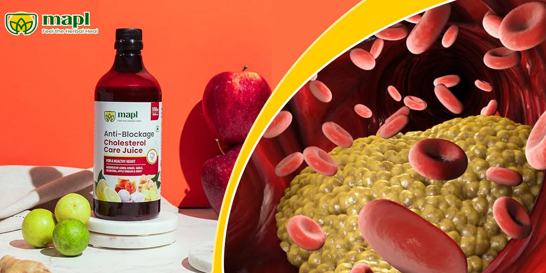 Understanding Triglyceride and LDL