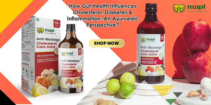 How Gut Health Influences Cholesterol, Diabetes & Inflammation: An Ayurvedic Perspective?