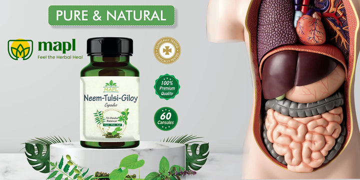 Importance of a healthy digestive system