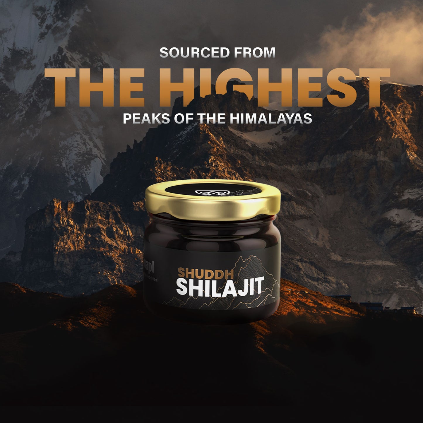 Shilajit Resin