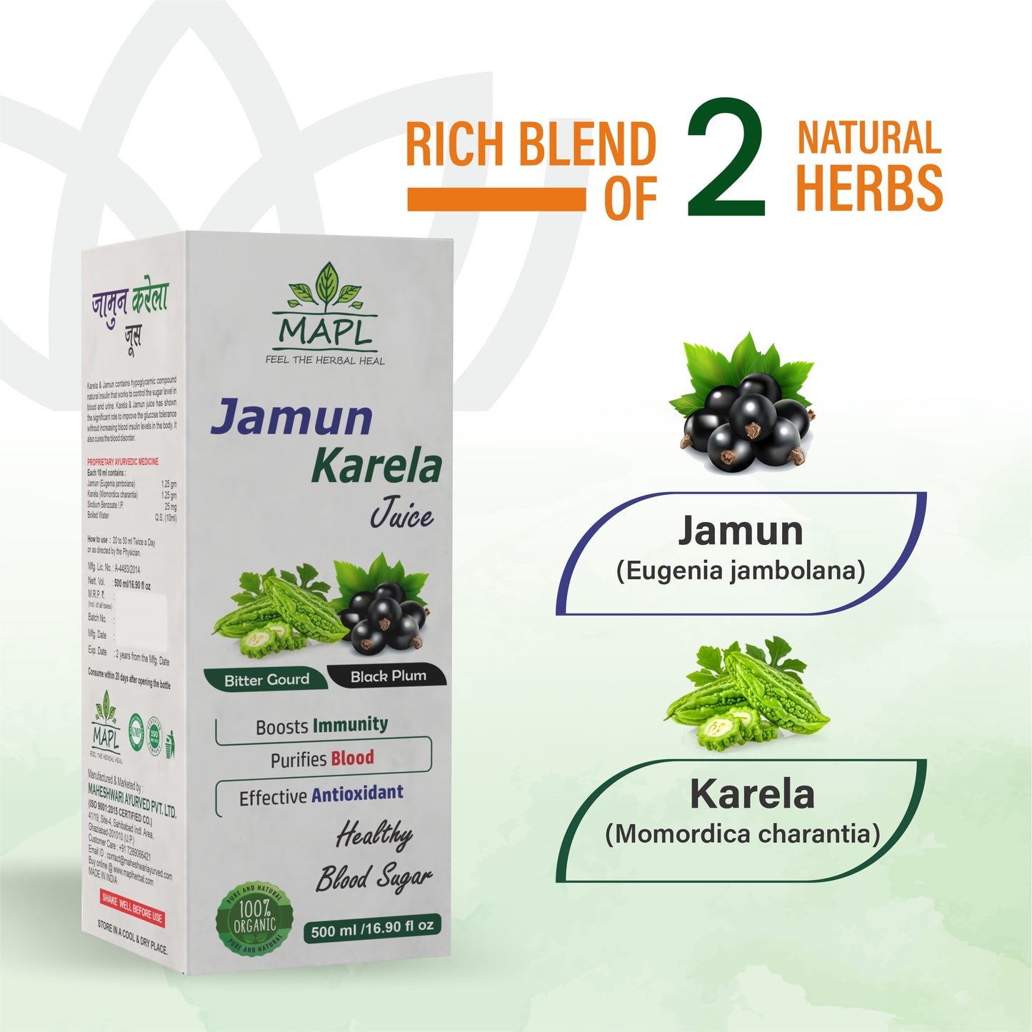 Jamun Karela Juice