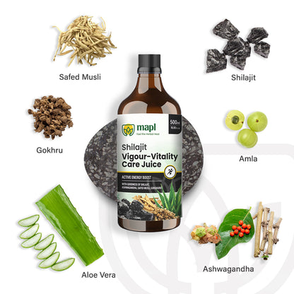 Shilajit Juice
