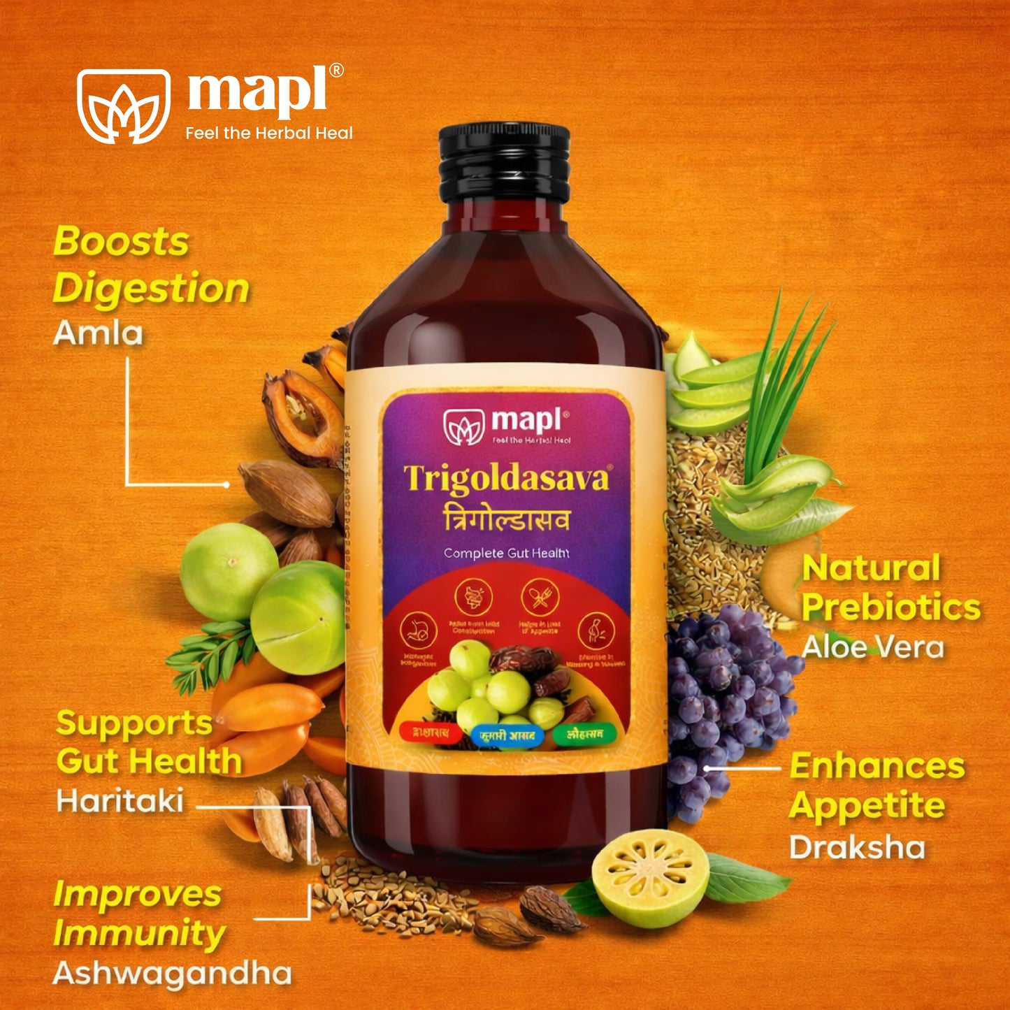Trigoldasav Digestive tonic